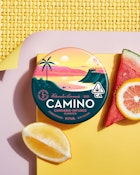 CAMINO: WATERMELON LEMONADE HYBRID 100MG 20 PACK