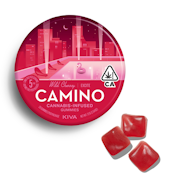 CAMINO: WILD CHERRY EXCITE SATIVA 100MG 20 PACK