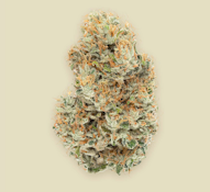 CBX: L'ORANGE SATIVA 3.5G